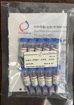 4×蛋白上樣緩沖（非變性，非還原）