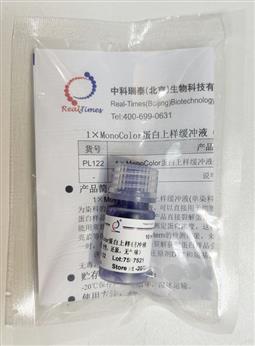 1×MonoColor蛋白上樣緩沖液 單染料（變性，還原，無氣味）